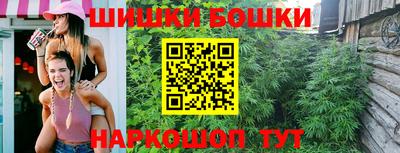 сатива Новокубанск