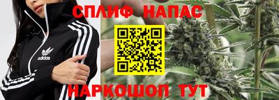 дмт Новозыбков
