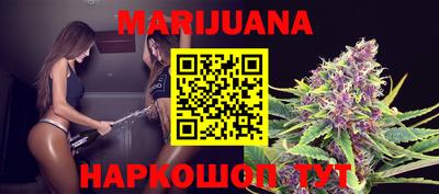 сатива Новокубанск