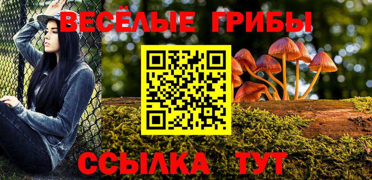 наркошоп  Псилоцибиновые грибы MAGIC MUSHROOMS  Тамбов  Вход с VPN  Псилоцибиновые грибы мухоморы 
