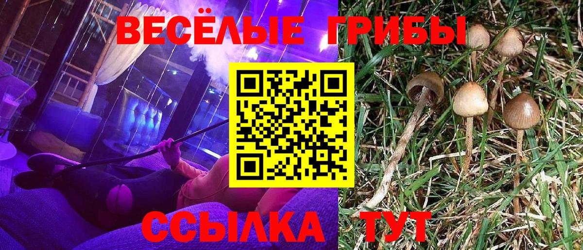 Галлюциногенные грибы ЛСД Тамбов